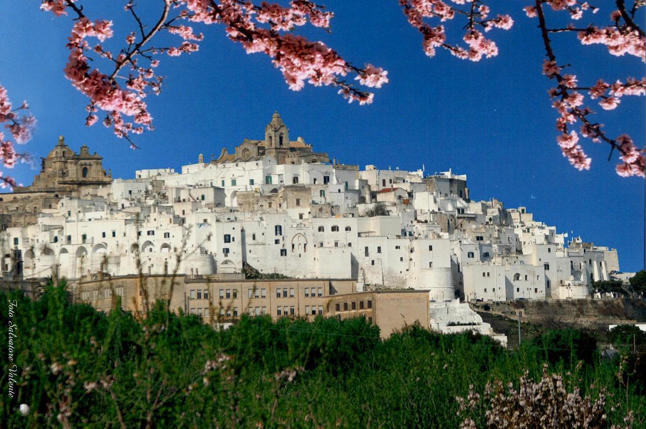 Casa Carlotta Villa Ostuni Luaran gambar